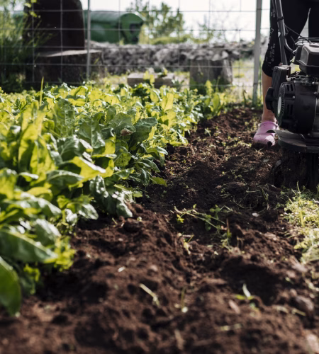 bottom-view-gardener-working