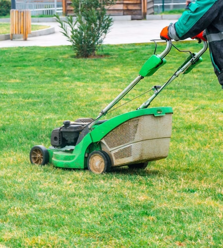 The gardener cutting grass by lawn mower. Park and outdoor